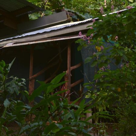 Hotel Corcovado Guide House Barrigones Zewnętrze zdjęcie