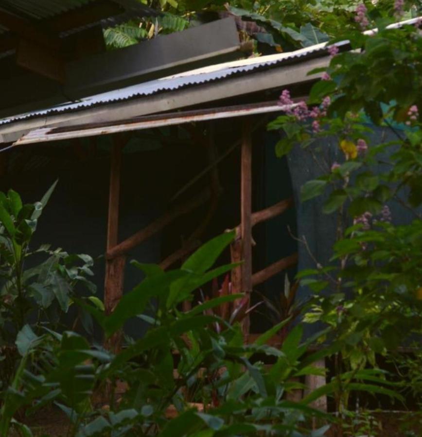 Hotel Corcovado Guide House Barrigones Zewnętrze zdjęcie